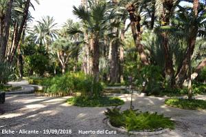 19 ELCHE HUERTO DEL CURA (27)